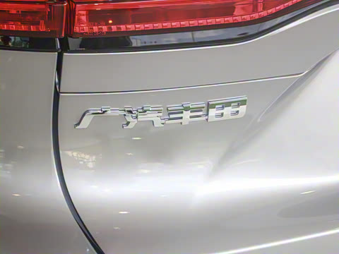 2024�� 2.5L���ܵ��˫�� ����������