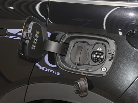 2026�� �鶯��������