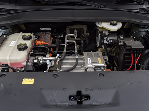 2025�� 445km ���ð�