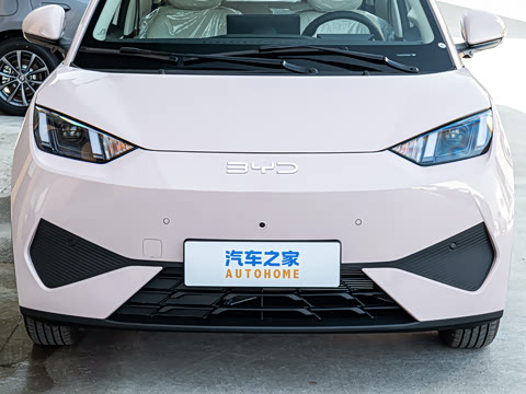 2026�� 305km ���ɰ�