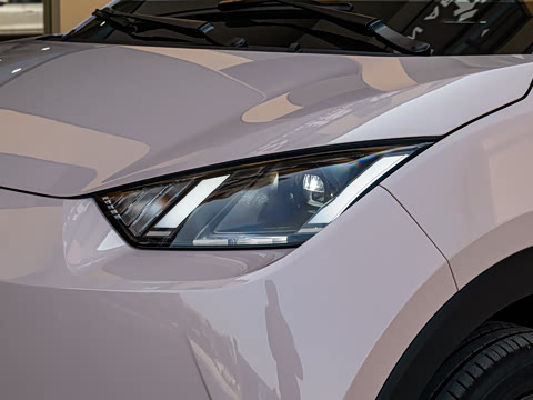 2026�� 305km ���ɰ�