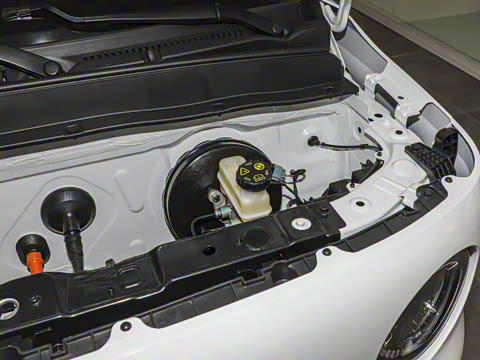 2025�� ������