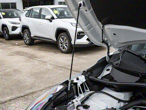 2026�� 2.0L ���ܵ��˫�� ���Ȱ�