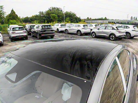 2025�� 60km EM-i ������