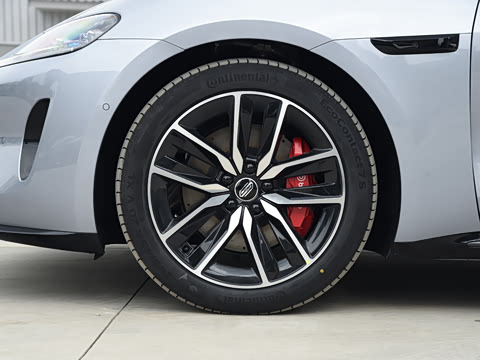 2026�� Max