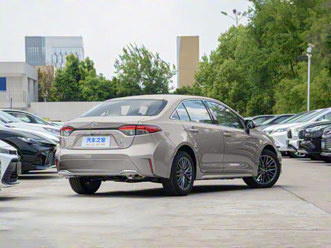 2024�� ���ܵ��˫�� 2.0L ������