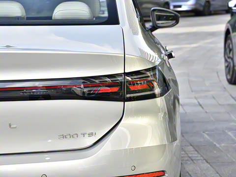 2026�� L 300TSI DSG ������