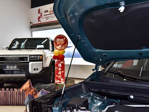 2026�� ˫�� 2.0L ����������