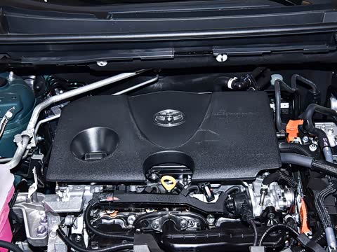 2026�� ˫�� 2.0L ����������