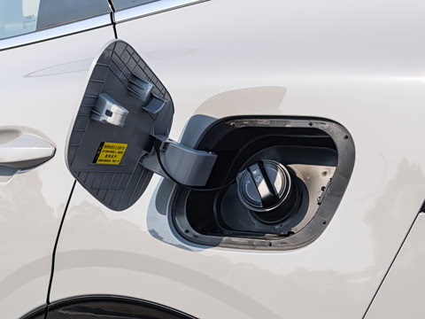 2026�� ����������