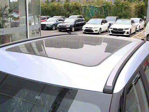 2026�� Ӱ�� 270T ������