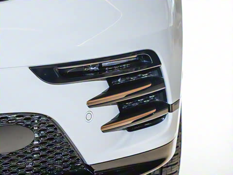 2026�� 250PS Dynamic SE