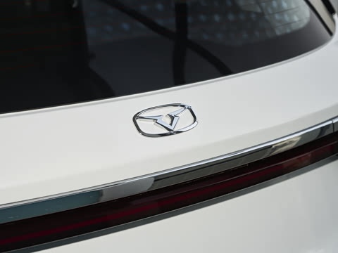 2025�� 1.5L �ֶ���Խ��