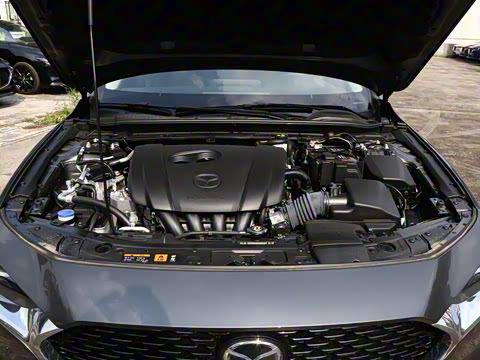 2025�� 2.0L �Զ������