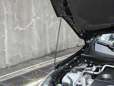 2026�� 1.6L CVTʡ�İ�