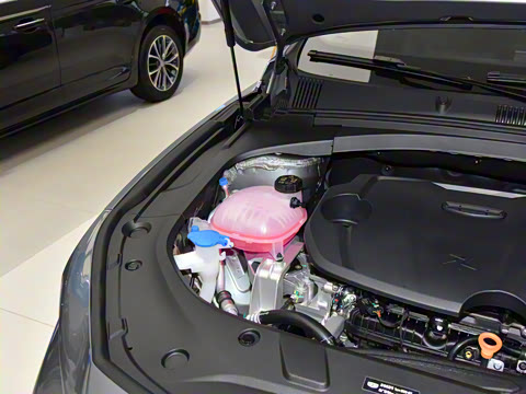 2026�� ������ 1.5TD ��ҡ��