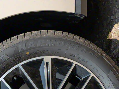 2026�� 520�Ǻ���