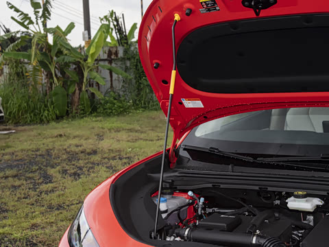 2026�� DM-i 220�캽��