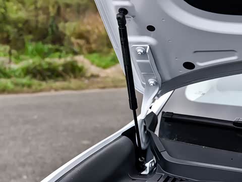 2026�� EV 710Զ����