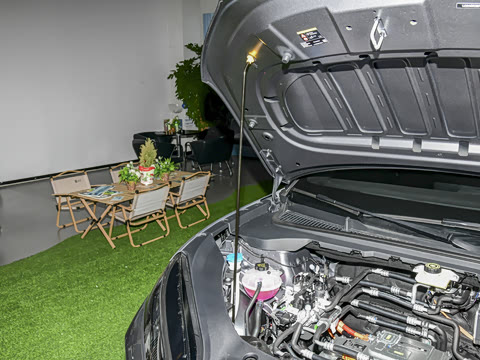 2026�� ������