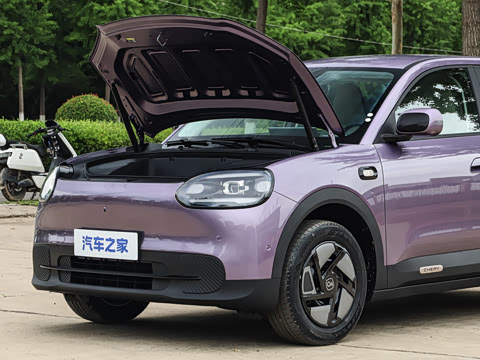 2026�� 310������