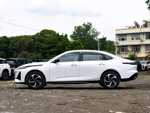 2026�� 1.5L �������� ������