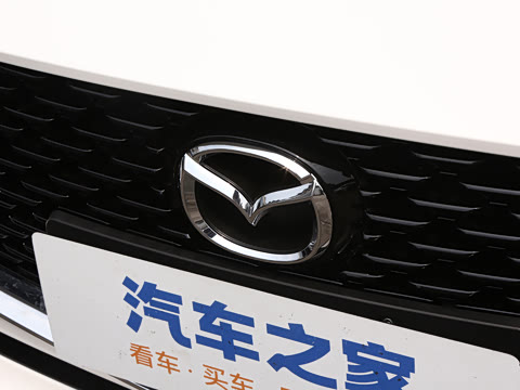 2025�� 2.0L �Զ����Ű�