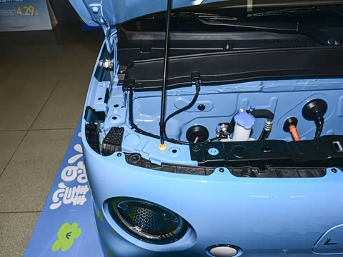 2025�� ������