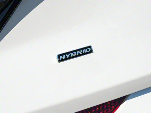 2026�� ���L 2.0T EcoBoost E�춯��������������