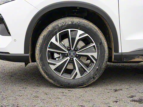 2026�� DM-i 133KM��Խ��