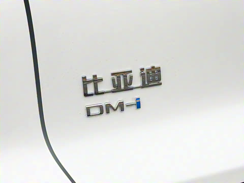 2026�� DM-i 133KM��Խ��