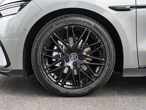 2025�� DM-i �Ǽݰ� 245KM�����״��콢��