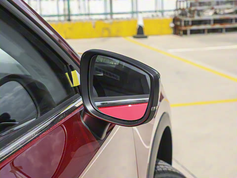 2025�� 2.0L �Զ���������Pro