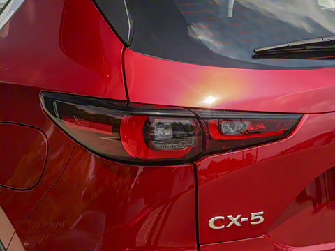 2025�� 2.0L �Զ���������Pro