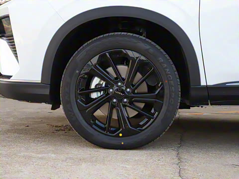 2025�� ���ն��� 1.5T �����