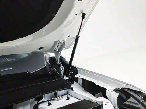 2025�� 290TGDI DCT���ư�