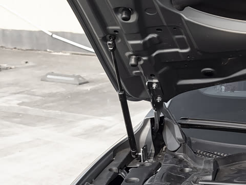 2025�� 260���������