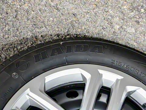 2025�� 1.5L ������