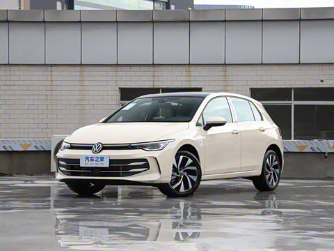 2025�� �Ŀ� 300TSI Pro