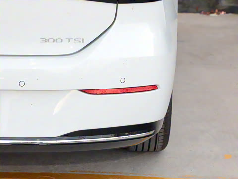 2026�� L 300TSI DSG ������