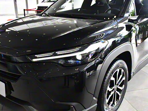 2026�� 2.0L ���ܵ��˫�� ������