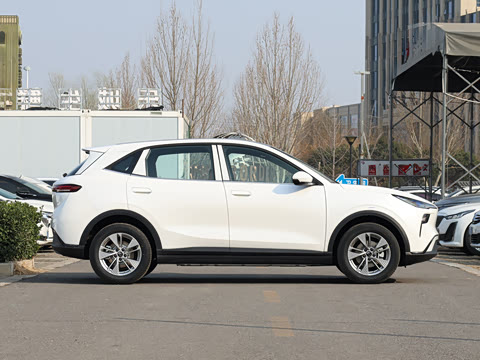 2026�� 565km ������