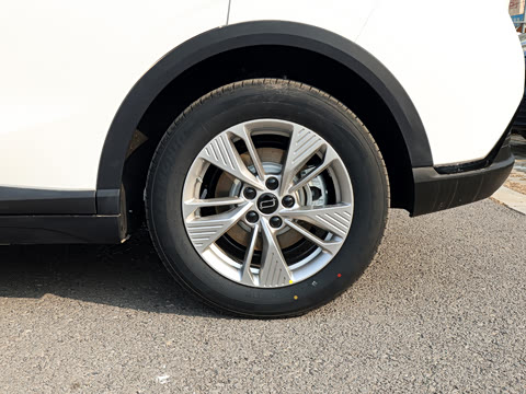 2026�� 565km ������