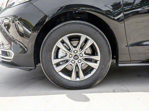 2026�� 2.5L ˫����������