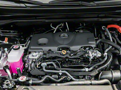 2026�� 2.5L ˫����������