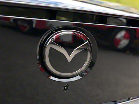 2025�� ����600 Max