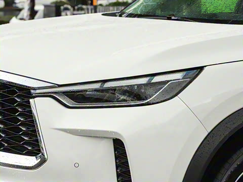 2024�� 2.0T ����������