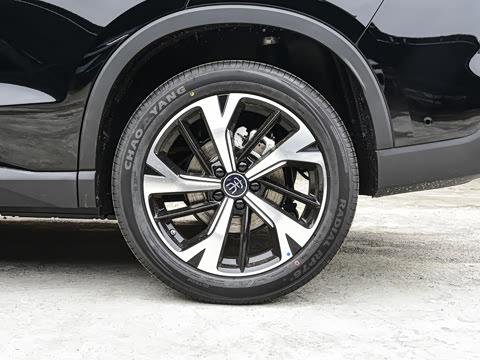 2026�� DM-i 220KM��Խ��