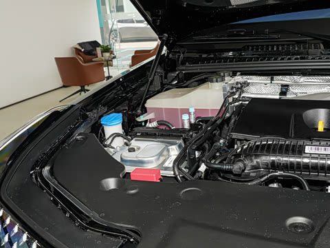 2026�� ������