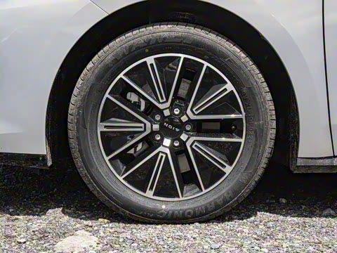 2026�� 520�Ǻ���